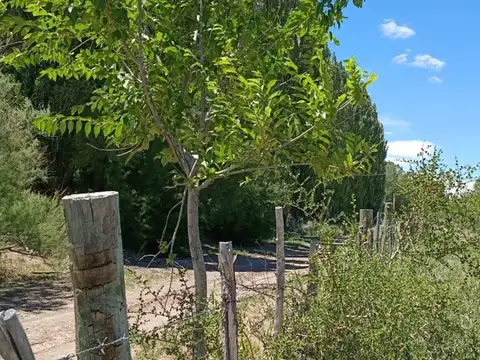 Chacra 2,69 ha con Escritura Ruta 17 Picún Leufú