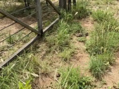 Campo en Venta con Alambrado