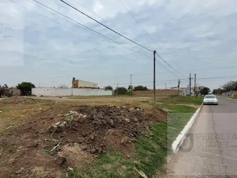 Mathurin y Pellegrini  0