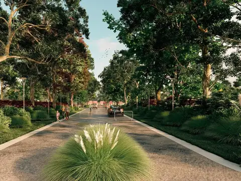 Terreno en Venta 44  mts Fondo