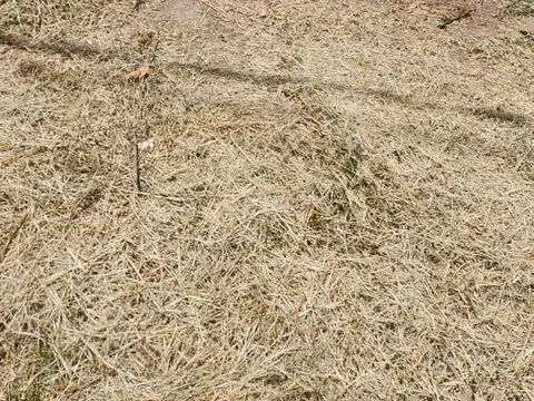 VENTA TERRENO EN GUAYMALLEN, LA PRIMAVERA