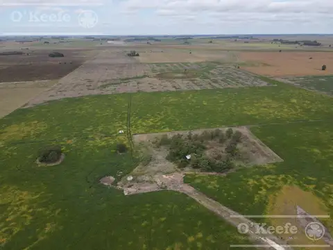 CAMPO MIXTO DE 77 HAS EN VENTA - A 7 KM DE RUTA 29 EN VILLANUEVA