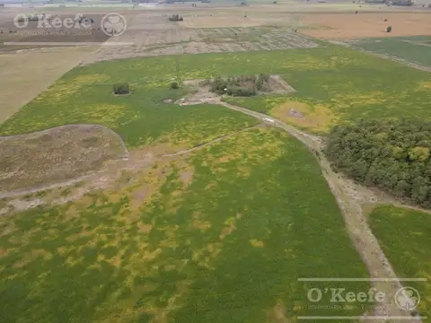 CAMPO AGRICOLA DE 77 HAS EN VENTA - A 7 KM DE RUTA 29 EN VILLANUEVA
