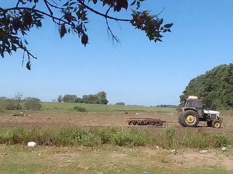 Chacra en Venta, 4.7has, en Baradero, Provincia de Buenos Aires