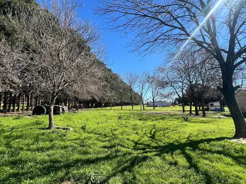 Chacra en Venta, 4.7has, en Baradero, Provincia de Buenos Aires