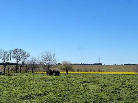 Chacra en Venta, 4.7has, en Baradero, Provincia de Buenos Aires