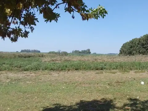 Chacra en Venta, 4.7has, en Baradero, Provincia de Buenos Aires