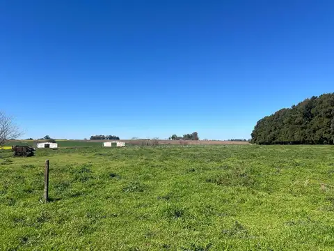 Chacra en Venta, 4.7has, en Baradero, Provincia de Buenos Aires
