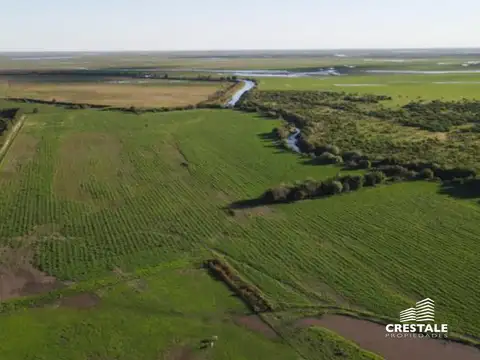 Venta / permuta - Campo 49,76 Ha - Victoria, Entre Ríos