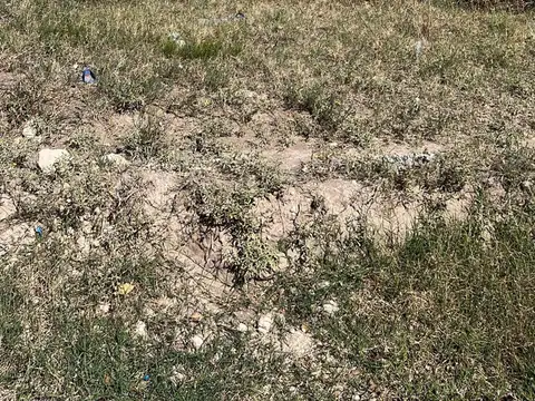 VENTA LOTE ESTOMBA AL 3000