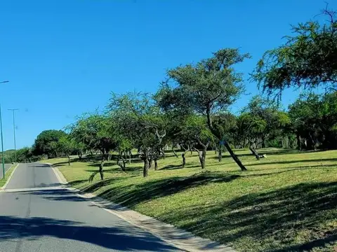 Lt 46, Macrolote 5,tierra Alta 0, Malagueño, Santa Maria, Córdoba
