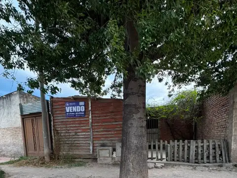 Chavez y abreu pedro vicario 500