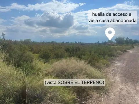 Terreno en Venta de 121846,0 m2