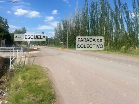 Tabanera s/n - Colonia Molina