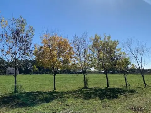Terreno en Venta en Villa Parque Sicardi, USD 620.000