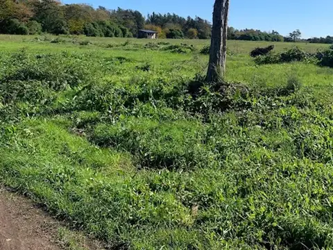 Terreno en Venta de 41794,0 m2