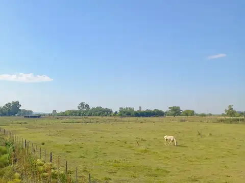 Terreno en Venta de 629,0 m2