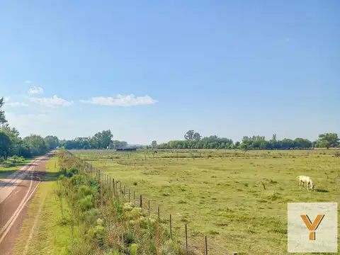 Terreno en Venta en Gouin, USD 20.000