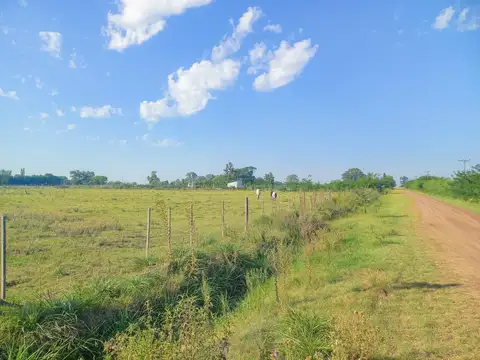 Terreno en Venta en Gouin, USD 20.000