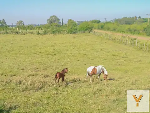 Terreno en venta - 629,25Mts2 - Carmen de Areco