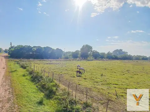 Terreno en venta - 629,25Mts2 - Carmen de Areco