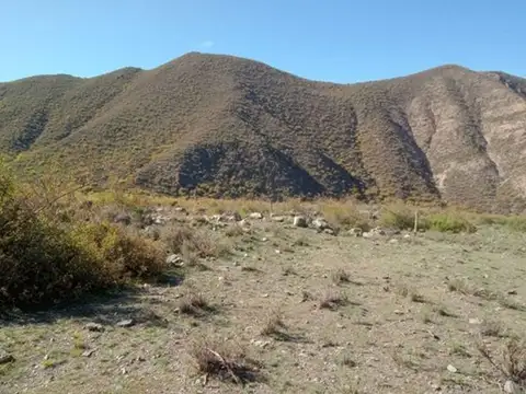 Terreno en Venta en Potrerillos, USD 100.000