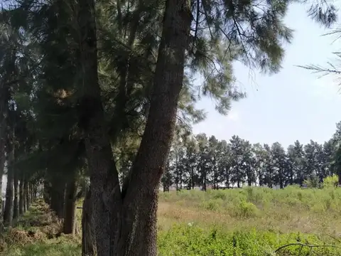 Terreno en Venta en General Lagos, USD 23.000