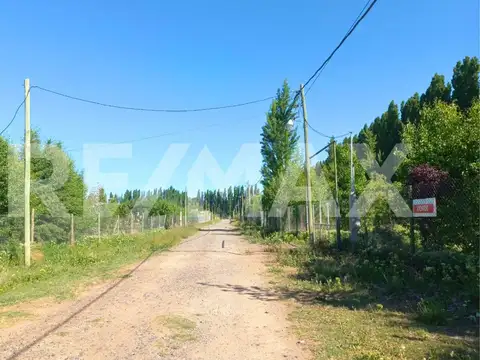 Terreno en Venta en Centenario, USD 100.000