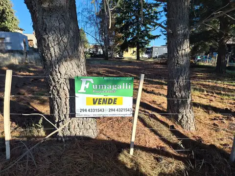 Av. Primeros Pobladores 100