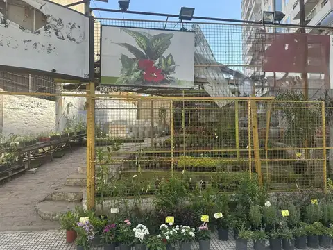 Local en Alquiler 42 años