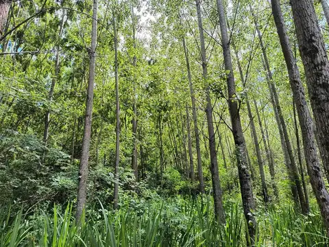 Casa en Venta en Zona Delta San Fernando, USD 90.000