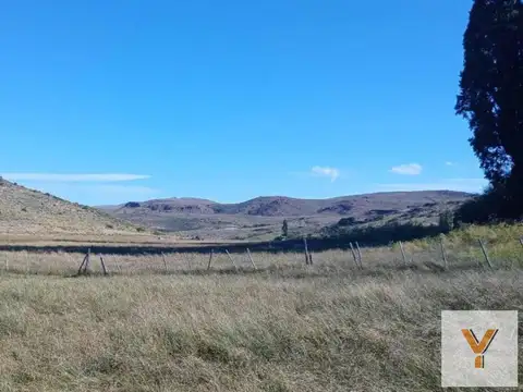 Campo en venta - 4.603 Hectáreas - Pilcaniyeu
