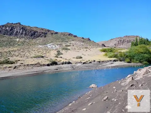 Campo en venta - 4.603 Hectáreas - Pilcaniyeu