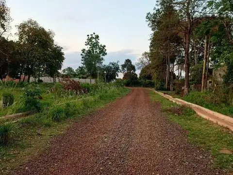 Calle 111 Haití Y 166