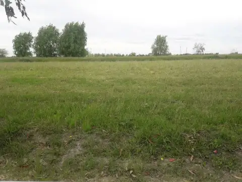 Terreno en Venta 50  mts Fondo