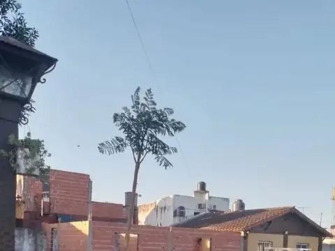 Chile 100