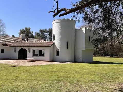 Quinta. La araucaria. Lobos.