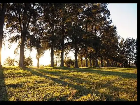 Terreno en Venta en Fighiera, USD 68.000