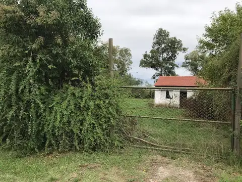 E Calcagno 600