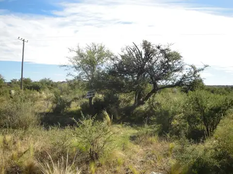 Terreno en Venta en San Fco del Monte de Oro, USD 25.000