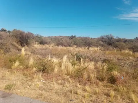 Venta de terreno en San Francisco del Monte de Oro, San Luis
