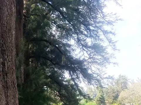 Terreno en Venta 48  mts Fondo