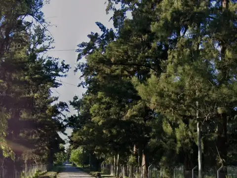 Terreno en Venta de 871,0 m2