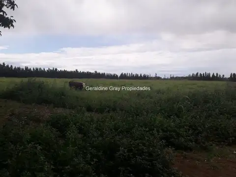 Terreno en Venta en Allen, USD 408.000