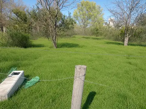 Venta terreno en Cosquin