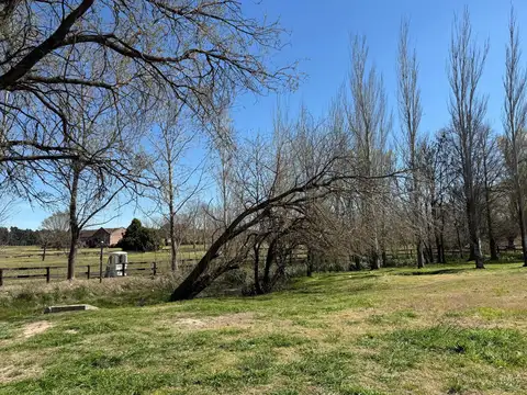 El Milord - Pilará, km 56,5