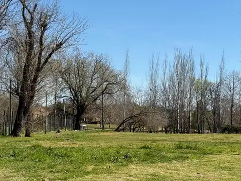 Terreno en Venta de 1687,0 m2