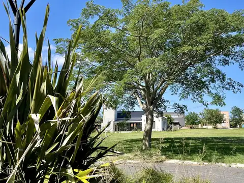 Terreno en Venta de 728,0 m2