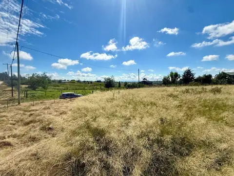 Rps273 0