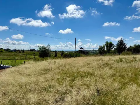 Rps273 0